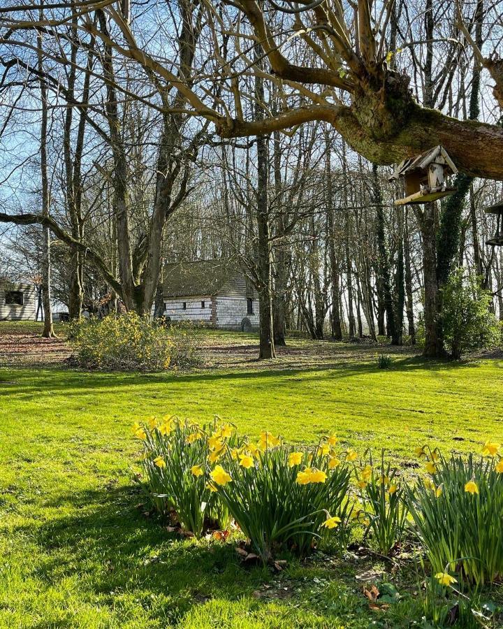 Domaine De Fresnoy Bed & Breakfast Loison-sur-Créquoise Exterior foto
